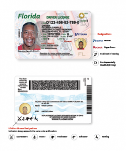 Florida's NEW Driver License And ID Card - Florida Department Of ...