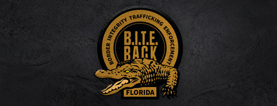 Border Integrity Trafficking Enforcement logo