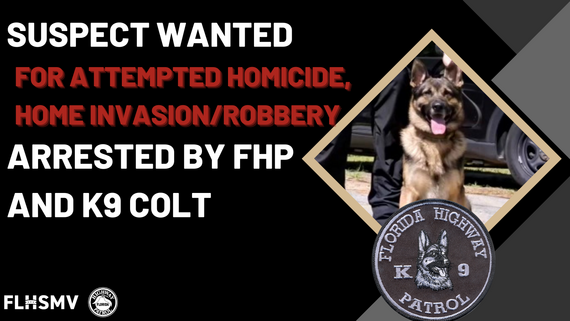 Suspect Arrested by FHP and K9 Colt